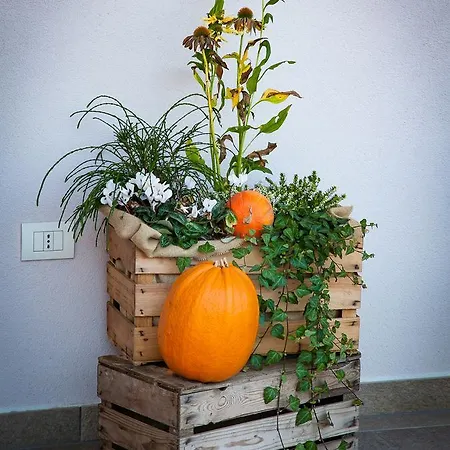 Bed & Breakfast Cà Dea Calle 4*