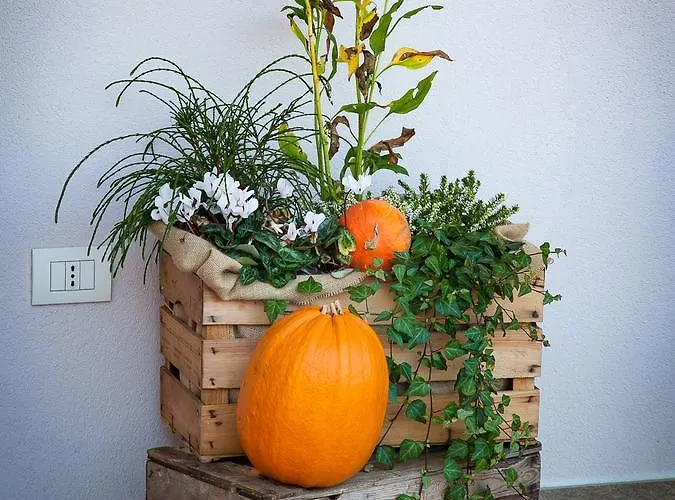 Bed & Breakfast Ca Dea Calle 4*